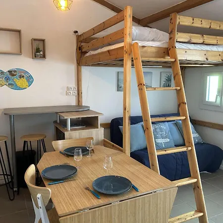 Maison De 3 Pers - Fr-1-224a-81 Hébergement de vacances